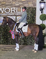 Comp_Open_Comp_Award_Image2