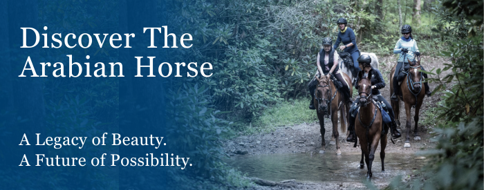 AHA_Landing_Discover