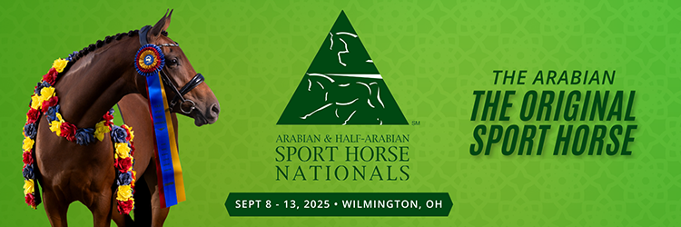 Sport Horse Banner Sport Horse Banner