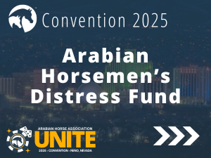 VL_25Convention_Horsemen