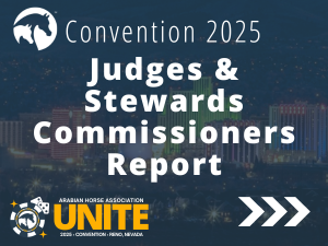 VL_25Convention_Judges