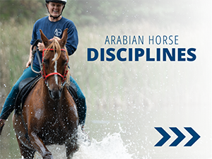 VL_Competition_Disciplines