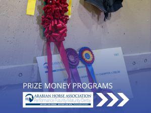 VL_Competition_Prize_Money