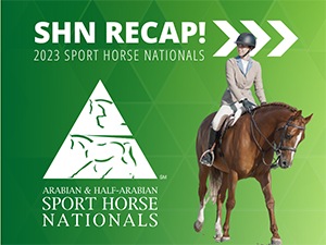 VL_Competition_SHN_Recap