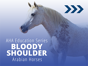 VL_Discover_Bloody_Shoulder