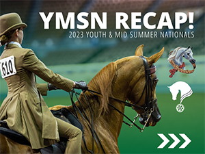 VL_Competition_YMSN_Recap