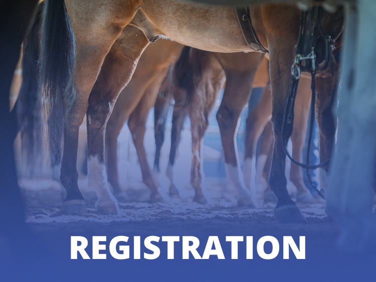 VL_Registration