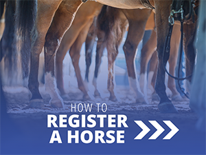 VL_Registration_How-To