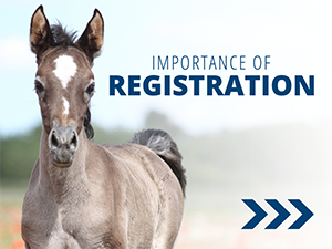 VL_Registration_Importance